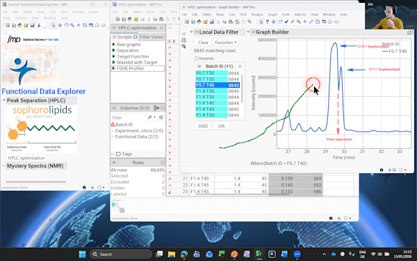 Von Peaks zu Profilen: Modellierung funktionaler Daten in Chromatographie und Spektroskopie