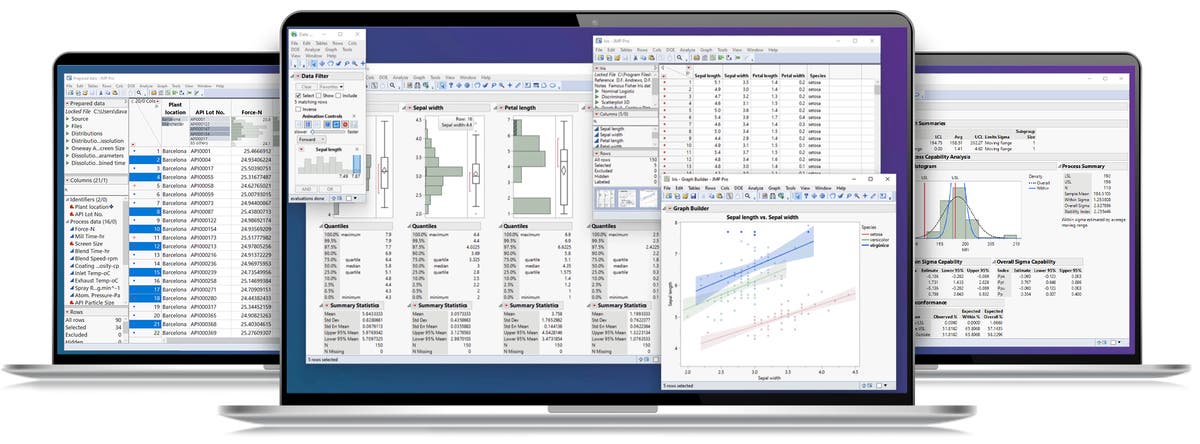 Software zur statistischen Datenanalyse