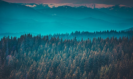 Universidade de Trás-os-Montes e Alto Douro