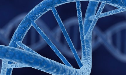 Quality Tools for Process Improvement Methodologies