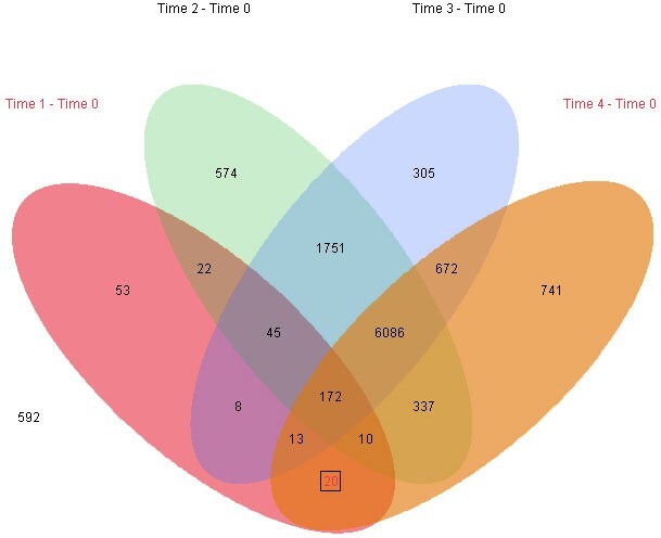 Visualize shared patterns with multiway Venn diagrams.