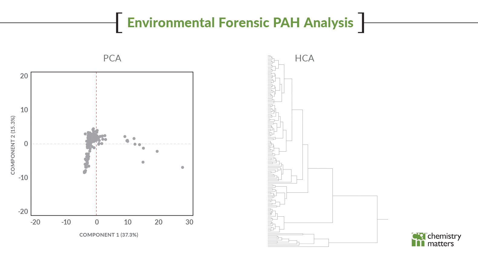 Environmental Forensic PAH Analysis