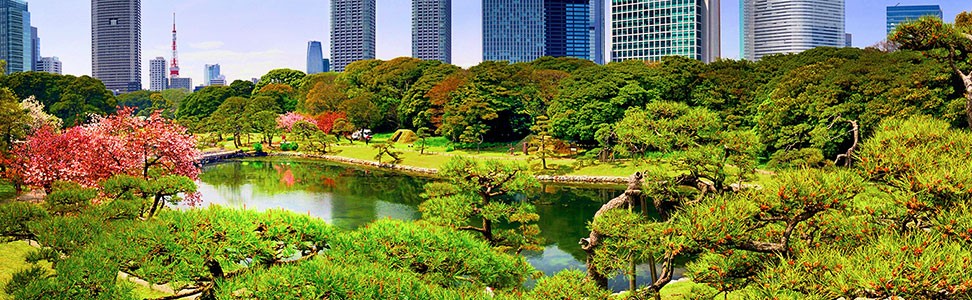 Tokyo skyline and park
