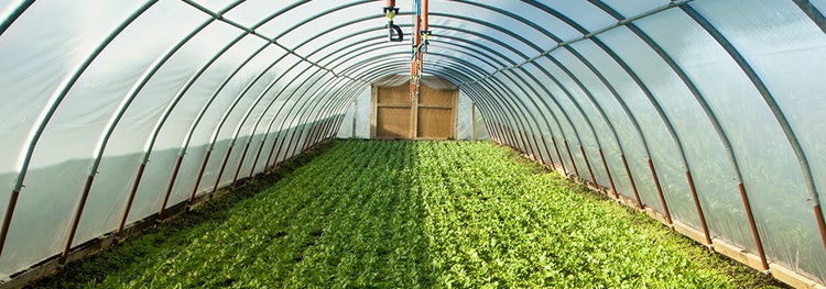 Refugio contra la lluvia
