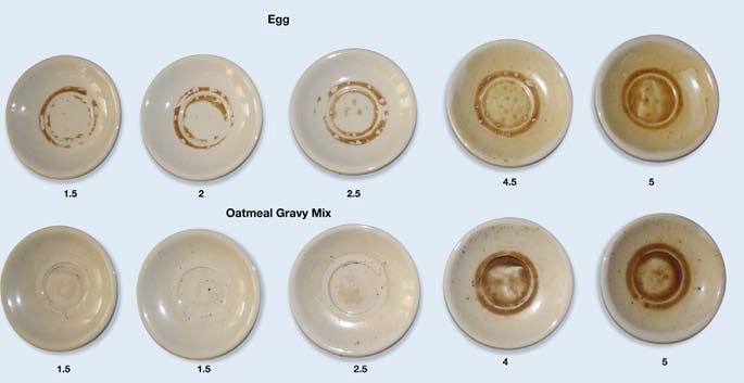 BASF Egg Oatmeal Experiment