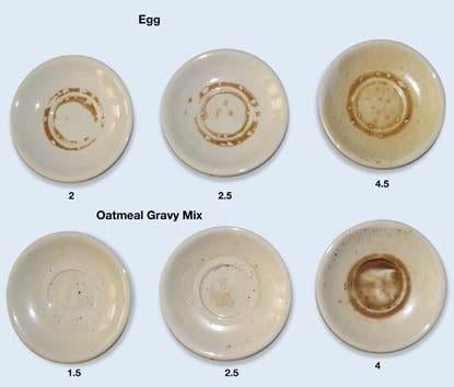 BASF Egg Oatmeal Experiment