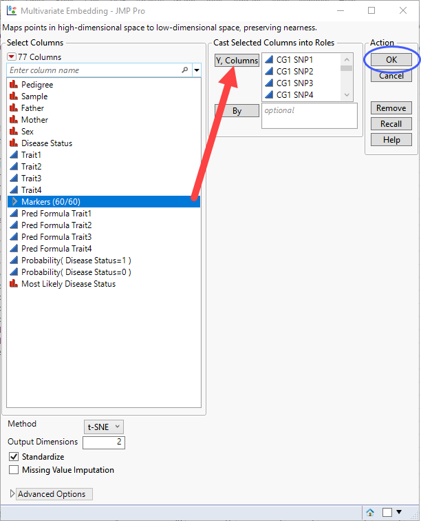 Pattern and Structural Discovery