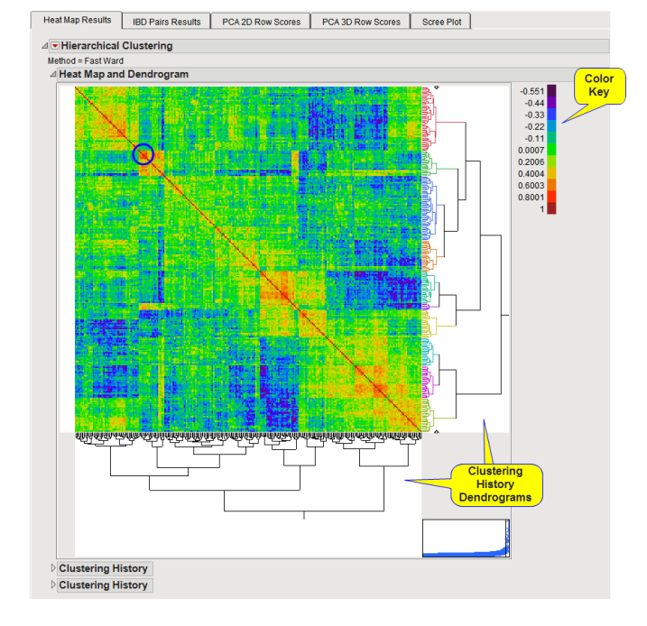 Dendrogram of grouping analysis plotted using the scores of the