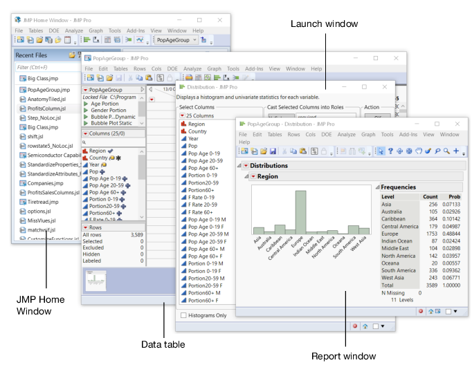 Anatomy of a Typical JMP Session on Windows