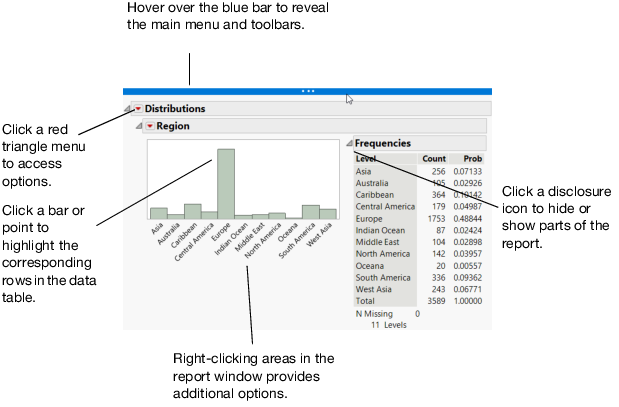 Report Window Features