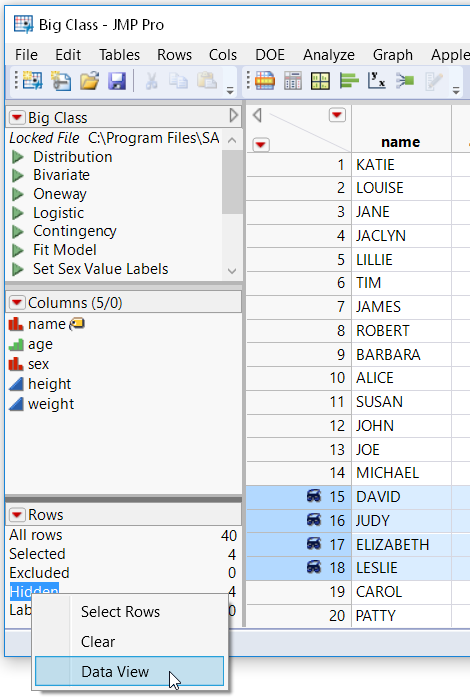 Creating a Data View from the Rows Panel