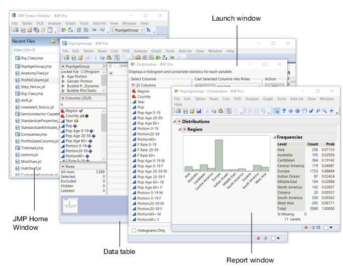 Anatomy of a Typical JMP Session on Windows
