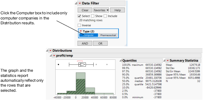 Filter for Computer Companies