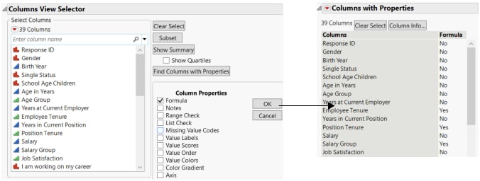 Select the Formula Column Property