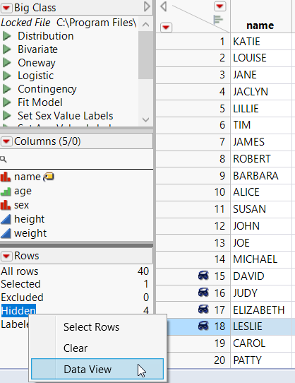 Creating a Data View from the Rows Panel