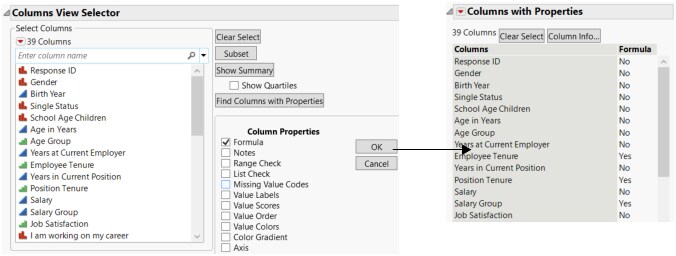 Select the Formula Column Property