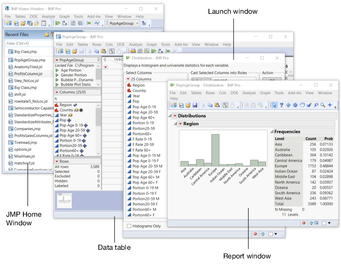 Anatomy of a Typical JMP Session on Windows