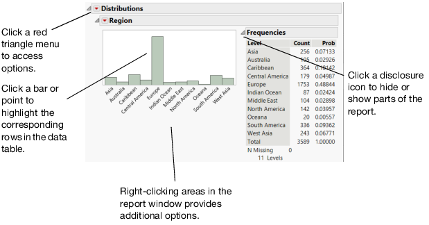 Report Window Features