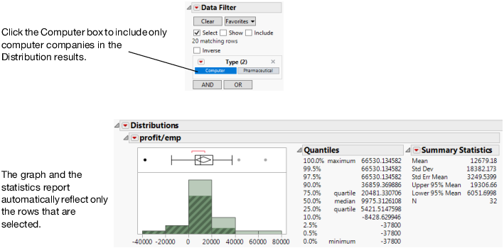 Filter for Computer Companies