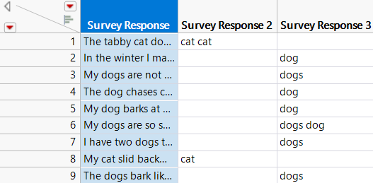 Data Table with New Columns
