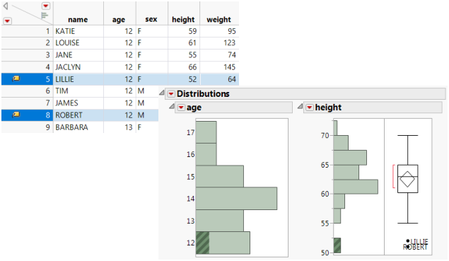 Example of the Distribution Platform