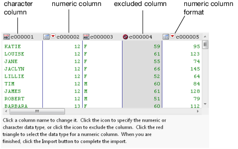 Text Import Wizard Window with Column Options