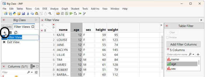 Create a Filter View from the Filter Views Tab