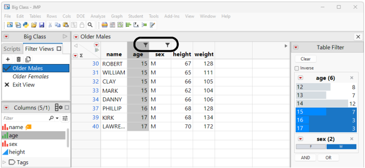 Marked Filter View Columns