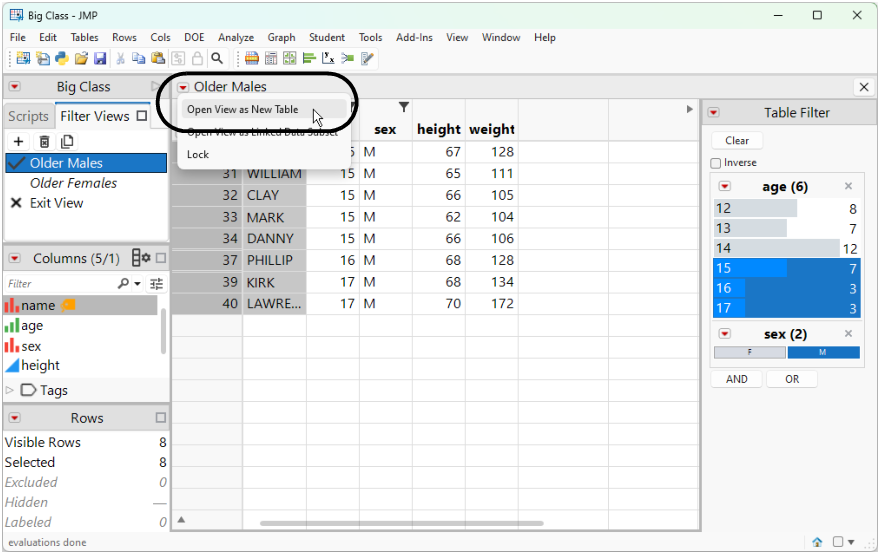 Open a Filter View as a New Table