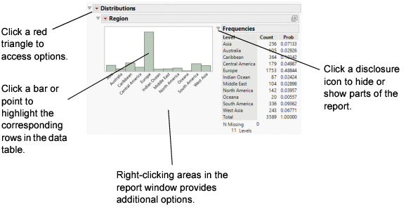 Report Window Features
