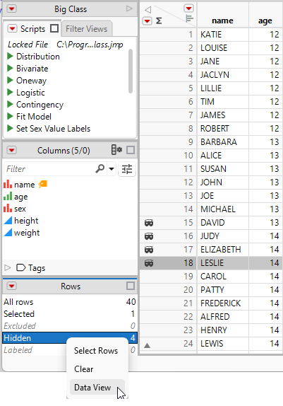 Creating a Data View from the Rows Panel