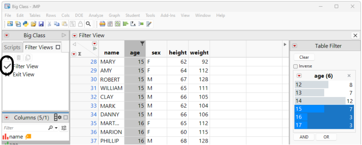 The Active Filter View
