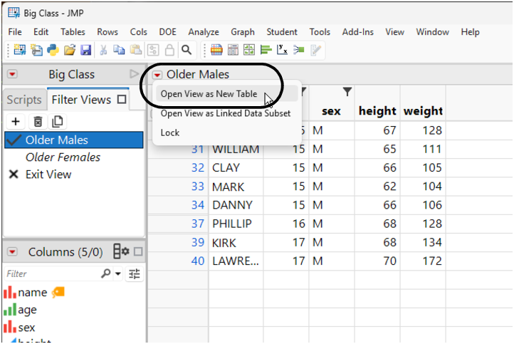 Open a Filter View as a New Table