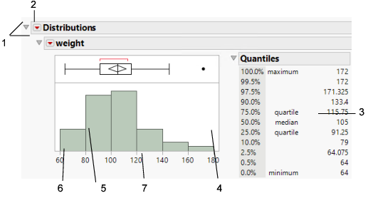 Basics of the Report Window
