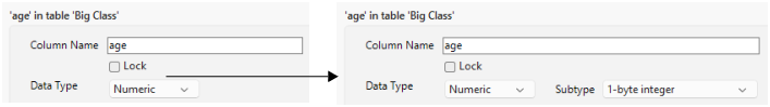 Column Info Window That Shows Numeric Column before and after Compression