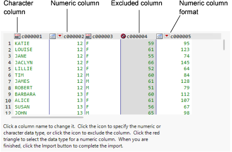 Text Import Wizard Window with Column Options