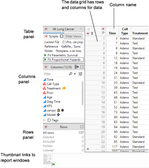 A Data Table