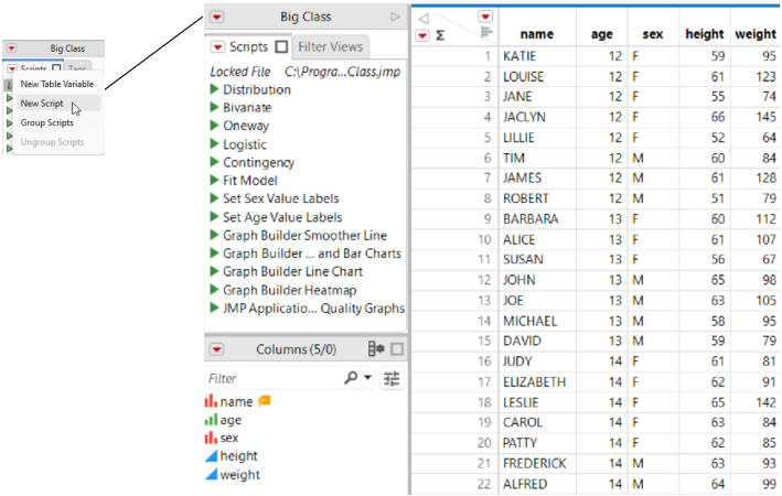 Creating a Script
