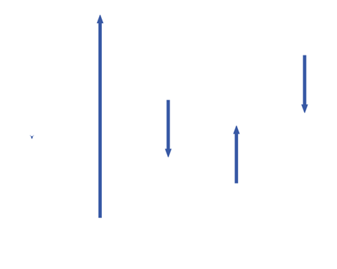 Image shown here