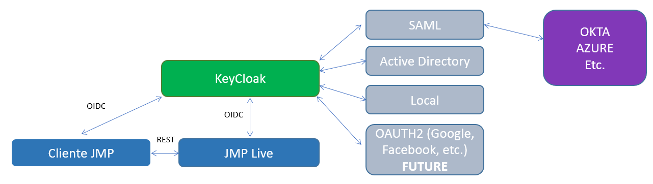JMP Live Authentication Options and Flow