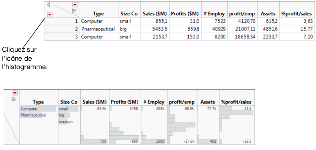 Histogrammes instantanés