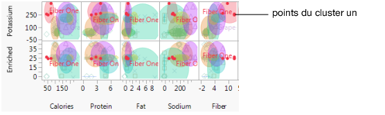 Caractéristiques du cluster un