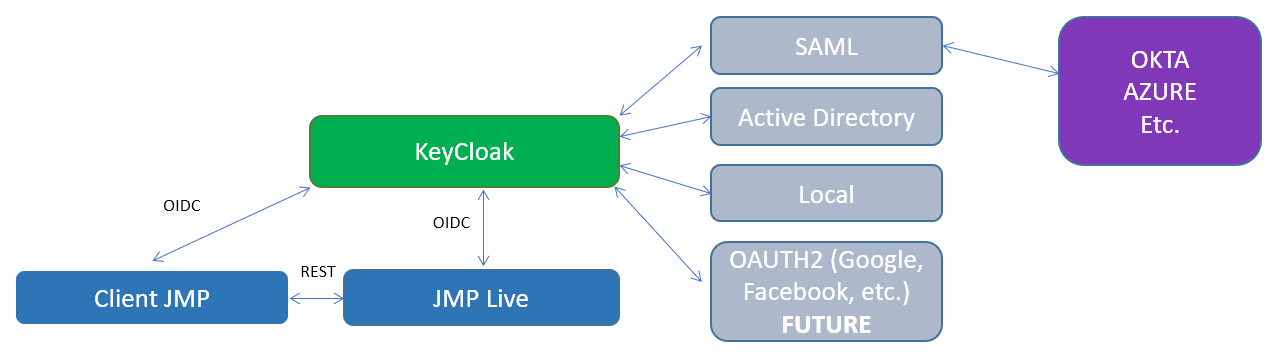 JMP Live Authentication Options and Flow