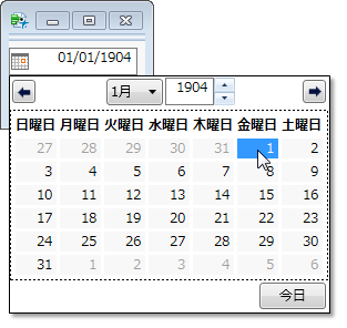 Example of a Date Selector