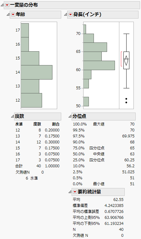 最初に表示される「一変量の分布」レポートウィンドウ