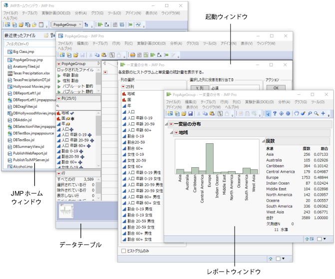 Anatomy of a Typical JMP Session on Windows