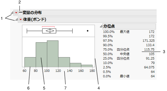 Basics of the Report Window