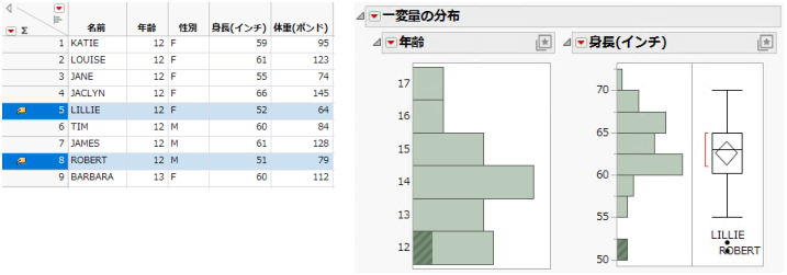 Example of the Distribution Platform