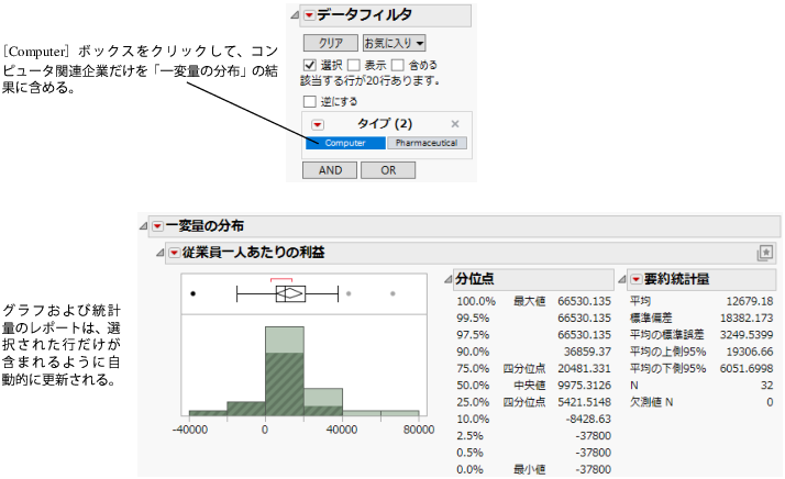 Filter for Computer Companies