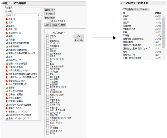 Select the Formula Column Property